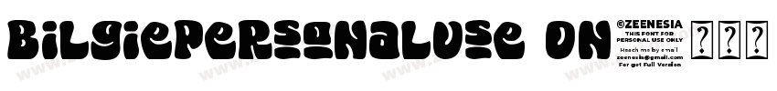 BilgiePersonalUse On字体转换